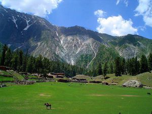 A view of Fairy Meadows beauty