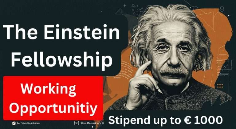 The Einstein Fellowship 2025-26 In Germany…